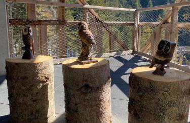 Apartament w górach Gorce - Foto 35