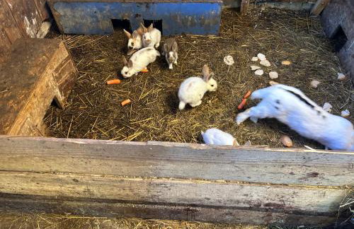 Koperkowe Rancho Beskid Wyspowy Domek Małopolskie KAMIONNA - Foto 4