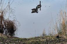 Ferienwohnung Jasmin - Photo 23