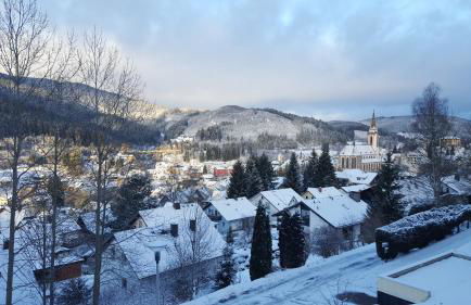 Hochschwarzwald Ferienwohnung - Foto 19
