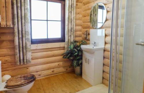 Wilderness Lodge - Foto 18