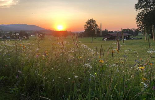 Ferienwohnung Wallner - Foto 8