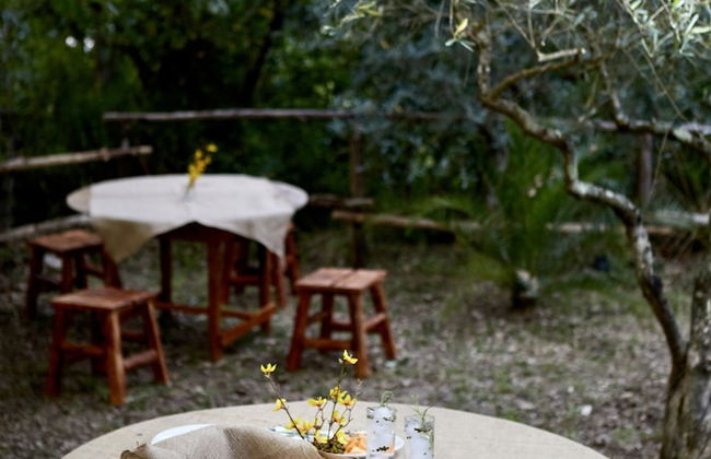 Il Vecchio Frantoio - Photo 79