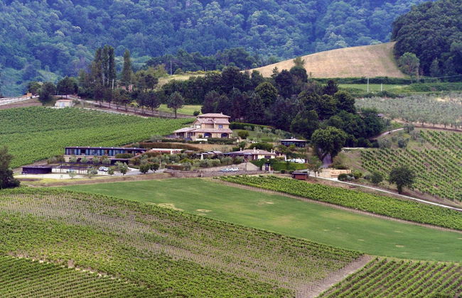 Altarocca Wine Resort - Photo 14