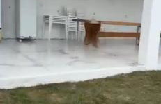 Sítio em São Luís no Carnaval 2026 - Foto 13