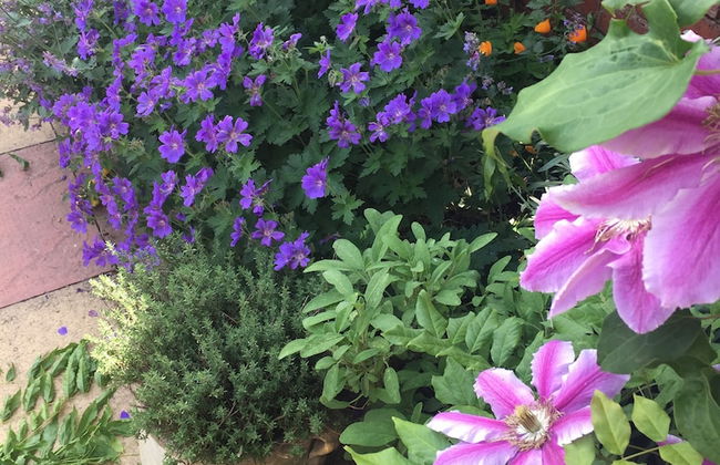 Cosy Cottage Sleeps 6 Suit Families, Contractors, Couples - Photo 22