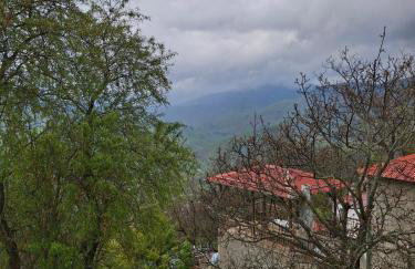 4BR Trekkers Retreat in Spilaio Grevena - Foto 51