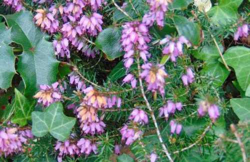 Uphill Manor - Foto 37