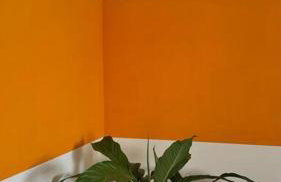 Apto próx ao Mercado Central e ao Minas Centro - Foto 10