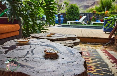 Finca OASIS Fataga - Foto 64