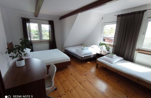 Agroturystyka Pasynki 44 - Foto 11