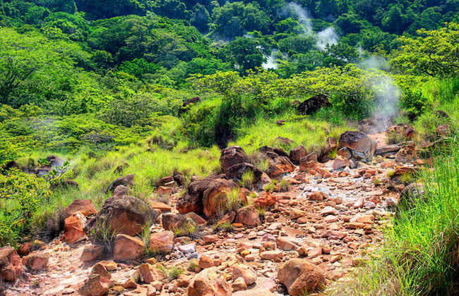 Oropéndola Waterfall & Las Pailas Hiking Tour - Foto 8