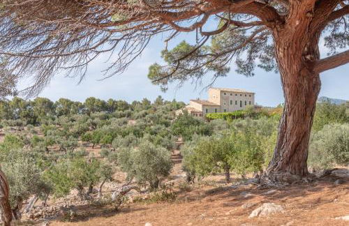 Deià semi-detached sunny country house, near GR221 - Foto 18