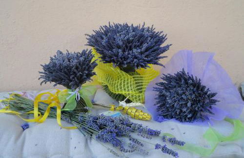 Agriturismo Monterosello - Photo 35