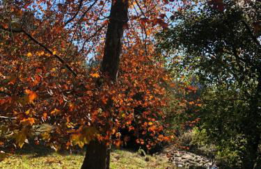 Casa Castelo de Alegrete by Portus Alacer - Foto 56