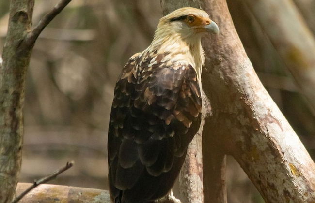 Covenas Refugio de Familia junto al Mar - Foto 25