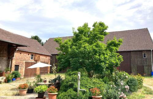 Suiten - Schlamau19 - Foto 4