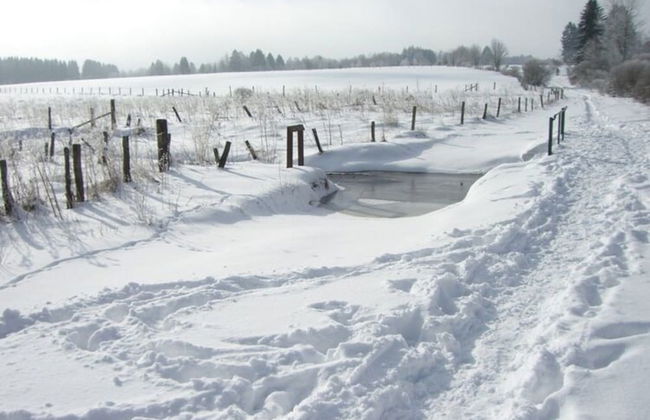 Scenic Villa Near Lake View - Photo 49