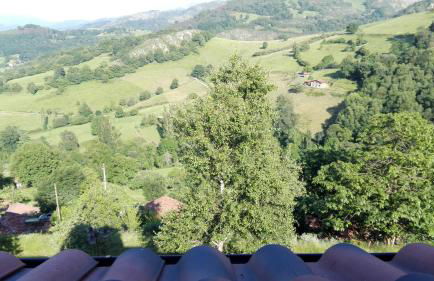 Apartamentos El Llanin - Foto 54