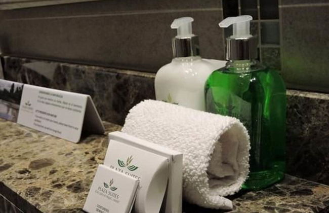 Hotel Plaza Suites - Photo 23
