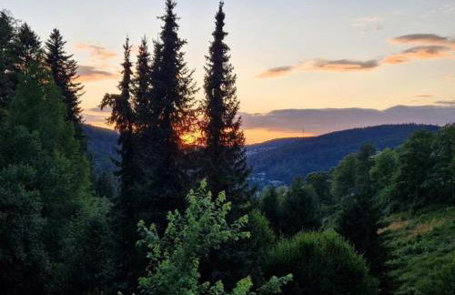 Apartment in Gutenbach With Nearby Forest - Foto 71