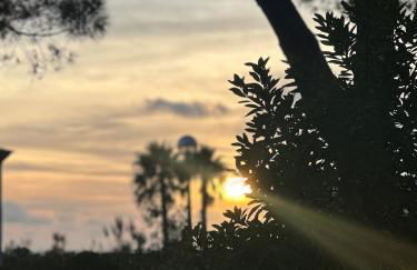 Grandpa's Nook - Torralta- Vista Mar - Photo 17