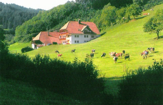 Comfortable Holiday Home in a Beautiful Location - Photo 39