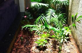 Chácara Bertelli - Foto 38