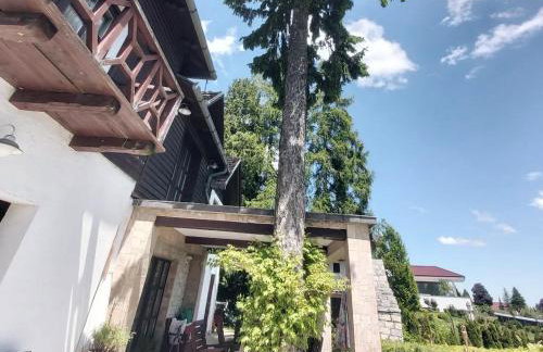 Villa Wolf Castle - vanjski grijani bazen 365 dana i pet friendly - Foto 9