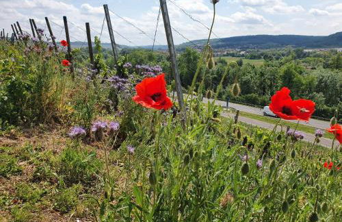 Kellerei5 Ferienwohnung 1 - Foto 16