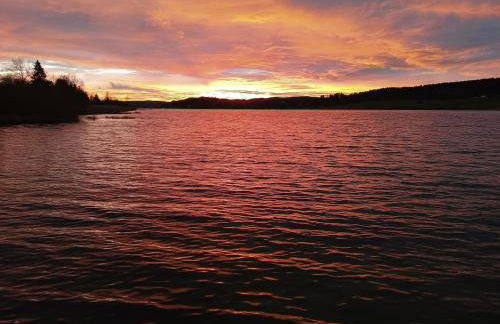 La Gentiane bleue, vue lac Saint Point - Foto 31