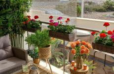 Casa Krystyna La Azohia - Foto 8