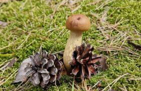 Przystań 46 - Foto 53