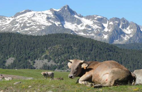 El Refugio de Aran Vielha Aparthotel - Foto 122