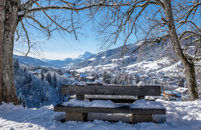 VVF Résidence Megève Mont-Blanc - Foto 79