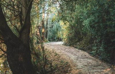 Appartement T2 indépendant au coeur de la ville - Foto 21