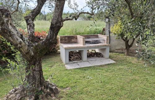 A Casa di Lidia - Foto 6