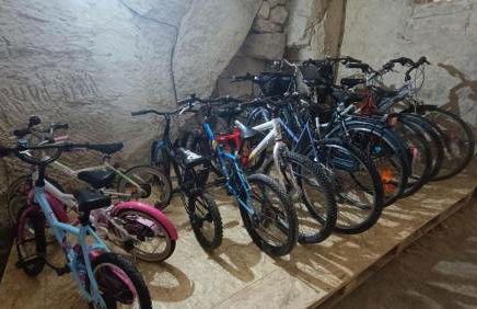 Meublé de tourisme Petit Chail Saint Savinien - Foto 51