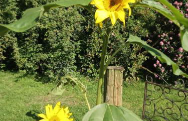 Canad Adar - Song of the Birds - Teifi Valley - Foto 30