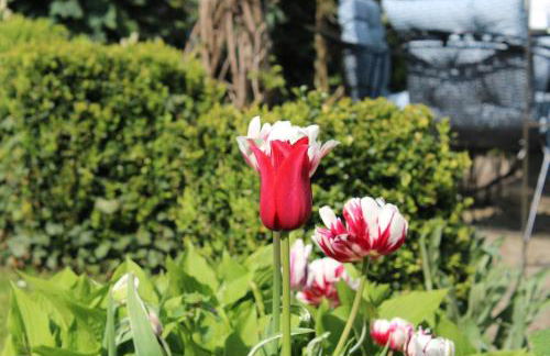 Ferienwohnung SEA - Foto 26