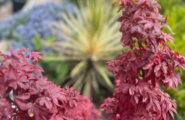 Caesars Lodge - Photo 46