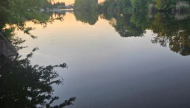 Yachthafen Karner Bootsverleih - Foto 5