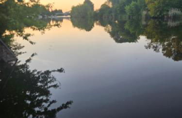 Yachthafen Karner Bootsverleih - Foto 5