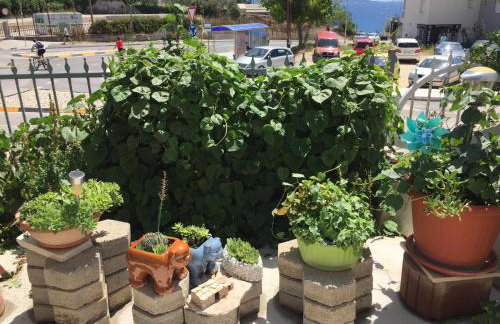 Apartment Poetry - Foto 6