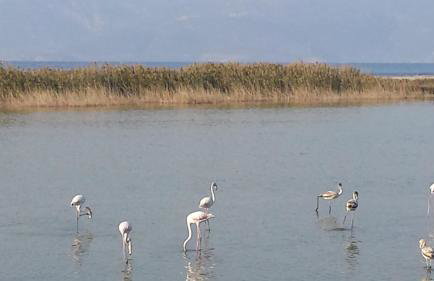 HOUSE SUITES DOMAINE - Foto 63