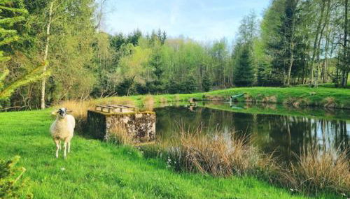Chalet les Jales, Jacuzzi - Foto 2
