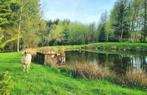 Chalet les Jales, Jacuzzi - Foto 2