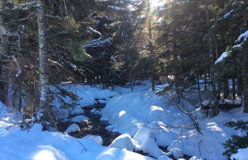 Gite Du Montagnol A Payolle - Foto 18