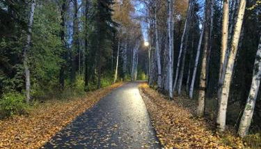 Fireweed Gardens in Roger’s Park - Foto 3