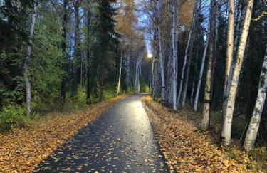 Fireweed Gardens in Roger’s Park - Photo 3